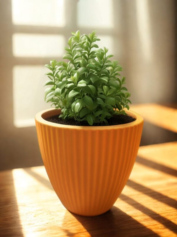 53f1a9b7-d6d5-43a8-8594-8a357dff94e1_20250917_173455_0000-scaled-2.jpg Set 3 maceteros color naranja y rosa de polipropileno de alta calidad