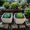 ​Pack de 2 Maceteros Pequeños Cuadrados para Suculentas - Macetas Cerámica Rústica Decoración Bonsái Interior