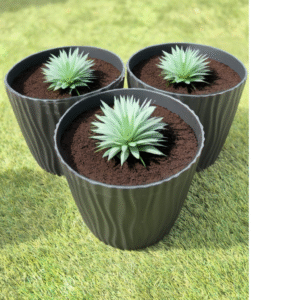 Set 3 Maceta Autorregante de Polipropileno Color Negro| Diseño Onda | Ideal para Plantas Medianas