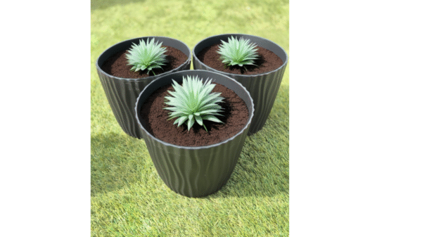 Diseño sin título (18) Set 3 Maceta Autorregante de Polipropileno Color Negro| Diseño Onda | Ideal para Plantas Medianas