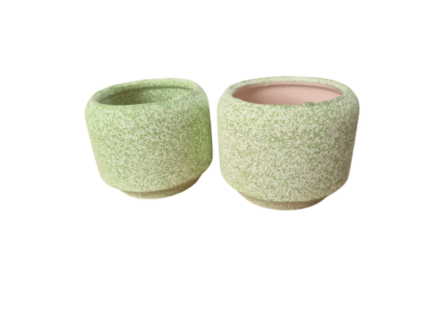 Diseño sin título (36) Pack 2 Maceteros Decorativos para Cactus y Suculentas (Morado, Azul, Verde) Céramica