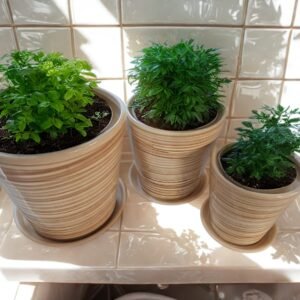 Juego de 3 Macetas de Cerámica con Diseño Veteado con Plato