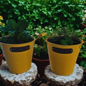 Juego de 2 Macetas/Cubos Metálicos Decorativos Amarillo Sol con Asa de Madera Vintage