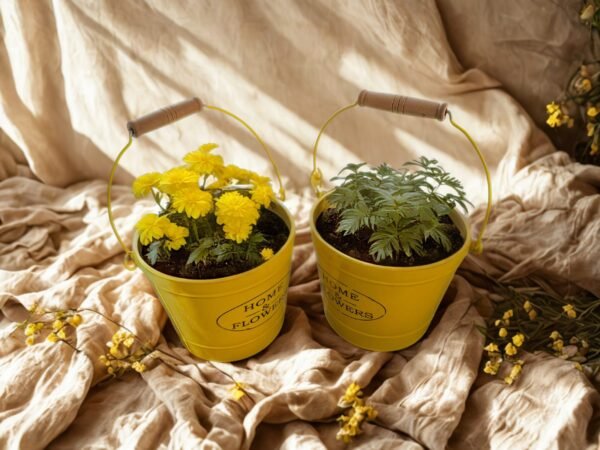 WhatsApp Image 2025-11-03 at 14.40.25 Juego de 2 Macetas Cubo Metálicas Amarillo Cítrico con Asa "HOME & FLOWERS"