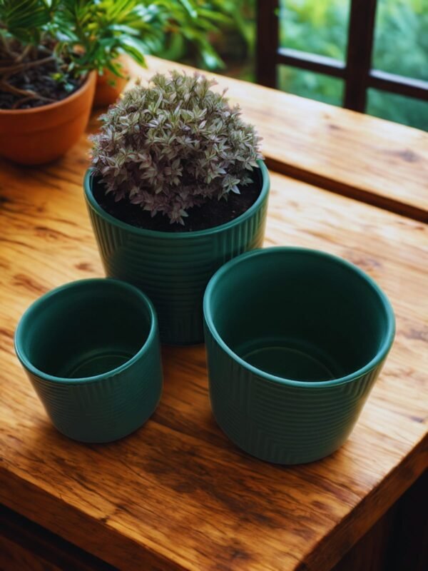 Set 3 Maceteros de Cerámica Estriada Diseño Moderno