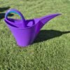 Regadera de Jardín 2 Litros | Diseño Moderno, Plástico Duradero y Riego de Precisión