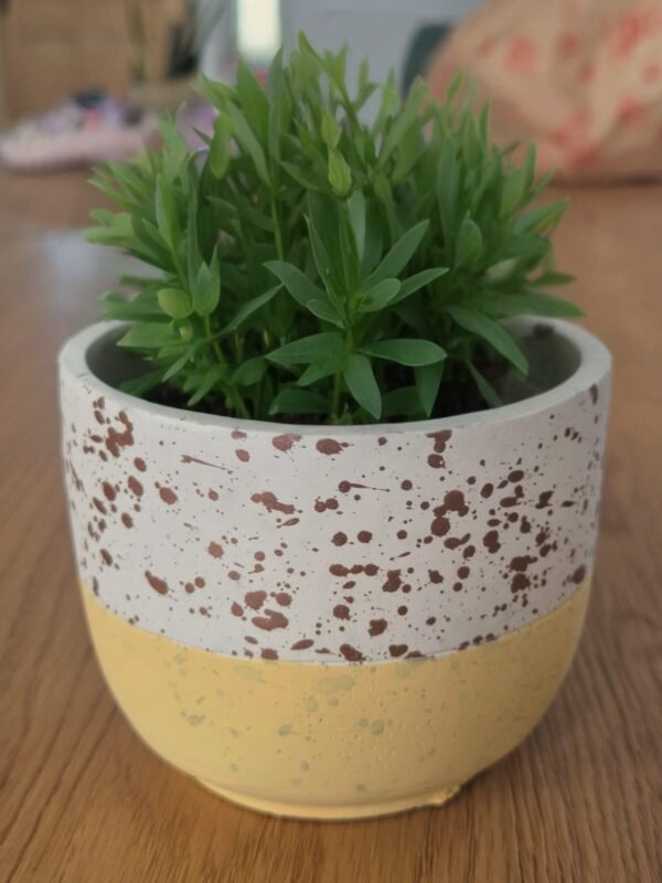 Pack 2 Maceteros Diseño Terrazzo/Salpicado Colores Pastel