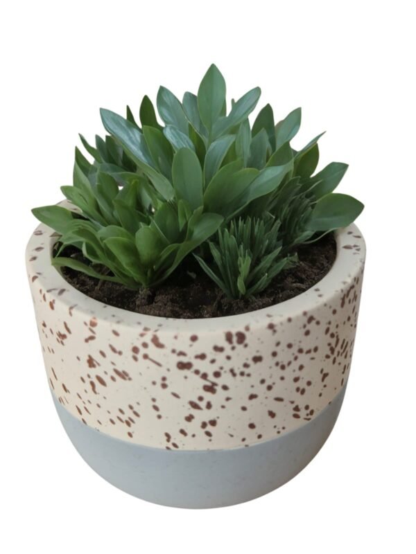 Pack 2 Maceteros Diseño Terrazzo/Salpicado Colores Pastel