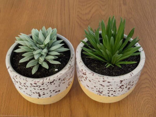 Pack 2 Maceteros Diseño Terrazzo/Salpicado Colores Pastel