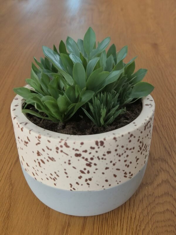 Pack 2 Maceteros Diseño Terrazzo/Salpicado Colores Pastel