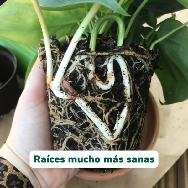 WhatsApp Image 2025-12-14 at 20.18.23 (2) Carbo+ Complejo de Carbono Sólido - Energía para Vegetativo y Floración