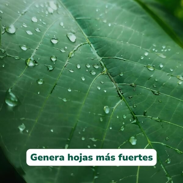 WhatsApp Image 2025-12-14 at 20.18.26 (1) BioProtec+ Escudo Biológico - Sílice y Probióticos