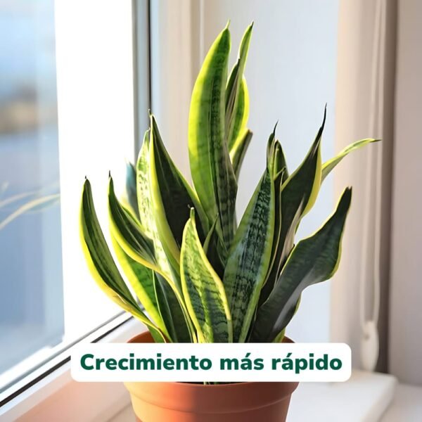 WhatsApp Image 2025-12-14 at 20.18.27 (1) Vitalical+ Calcio y Micronutrientes - Vigor y Crecimiento Explosivo